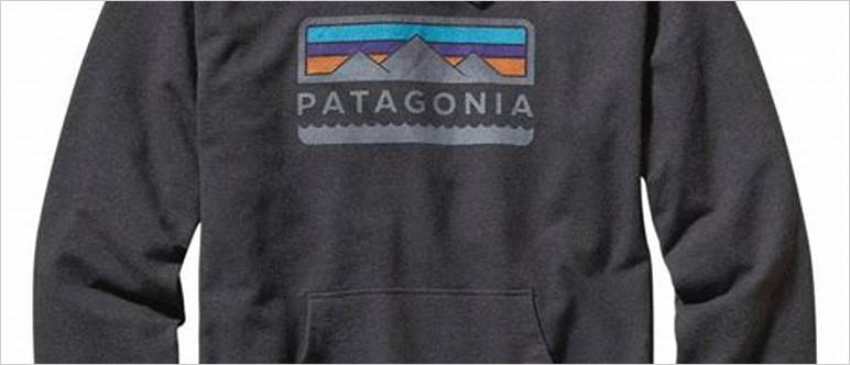 Patagonia sweatshirt mens